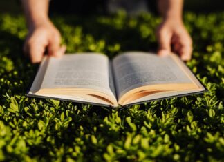 A incrÃvel história do couro e dos artesãos do couro