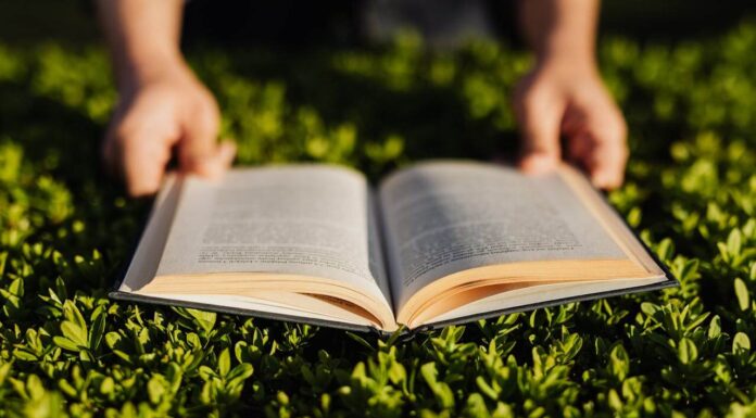 A incrÃvel história do couro e dos artesãos do couro