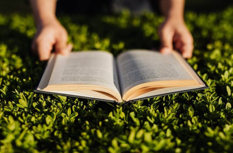 A incrÃvel história do couro e dos artesãos do couro